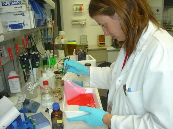 Ana Velasco, investigadora de Incyl, en el laboratorio. 