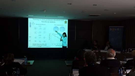 Mara Dierssen durante la presentación del estudio sobre el té verde. Mara Dierssen durante la presentación del estudio sobre el té verde.