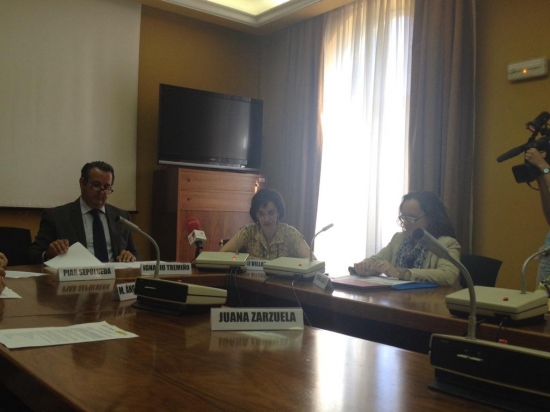 El Director General de Políticas de Apoyo a la Discapacidad, Ignacio Tremiño, ha presidido el acto de presentación. 