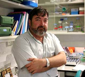 Salvador Martínez lleva 20 años investigando el desarrollo cerebral en el síndrome de Down. 