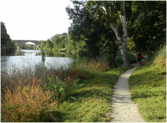 El río Tajo será una presencia constante para los participantes. 