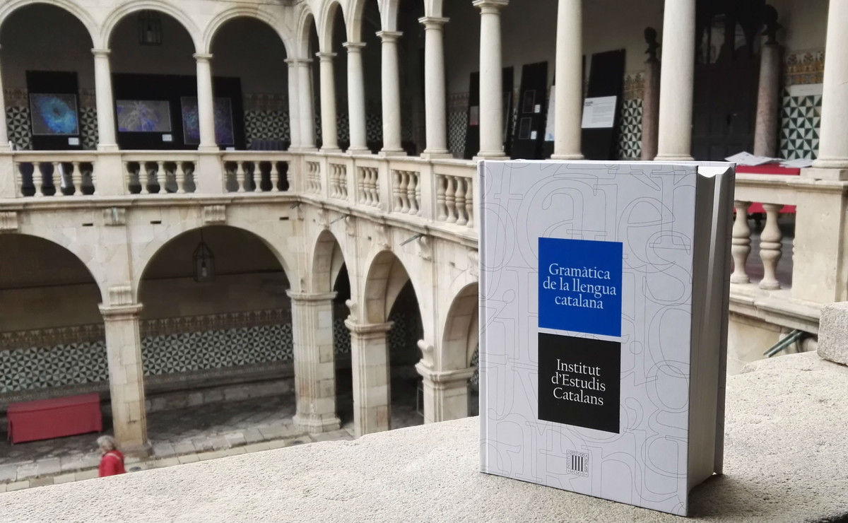 El diccionario normativo del catalán corrige y actualiza algunos términos referidos al síndrome de Down que podían ser ofensivos