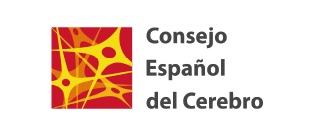 Imagen colaborador Consejo Español del Cerebro